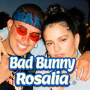 Bad Bunny Rosalia - La Noche D APK