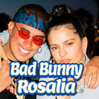 Bad Bunny Rosalia - La Noche D icône