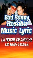 Bad Bunny Rosalia - La Noche D poster