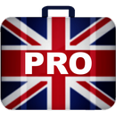 Английский разговорник PRO APK