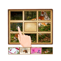 Slide Puzzle