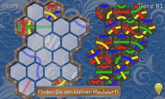 Tantrix Quiz Screenshot 2