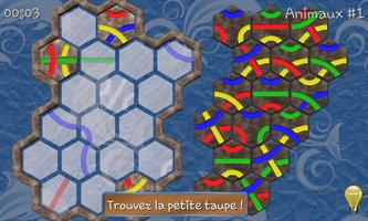 Tantrix Quiz capture d'écran 2