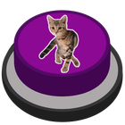 Angry Cat Prank Meme Button icône
