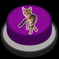 Angry Cat Prank Meme Button Affiche