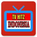 TV Hitz Indonesia