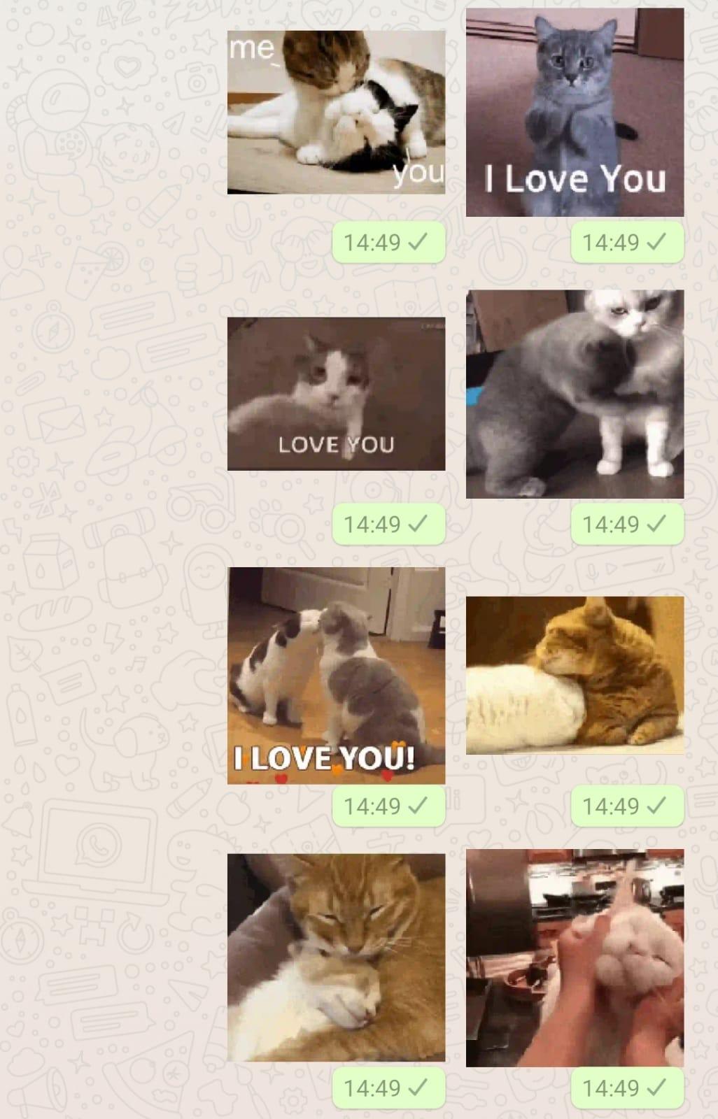 Cat Animated stickers for Whatsapp WAStickerApps for Android - APK Download