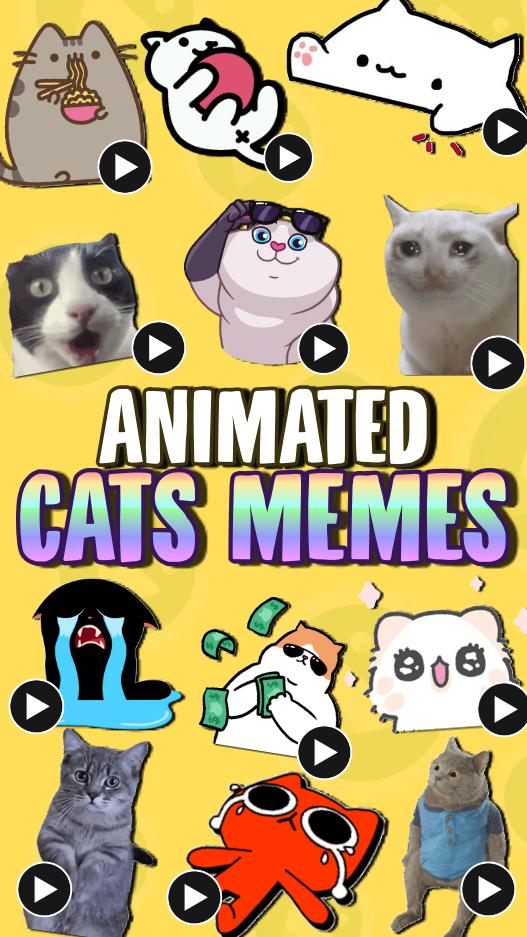 Cat Memes Stickers WASticker - APK Download for Android