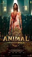 Animal Cartaz