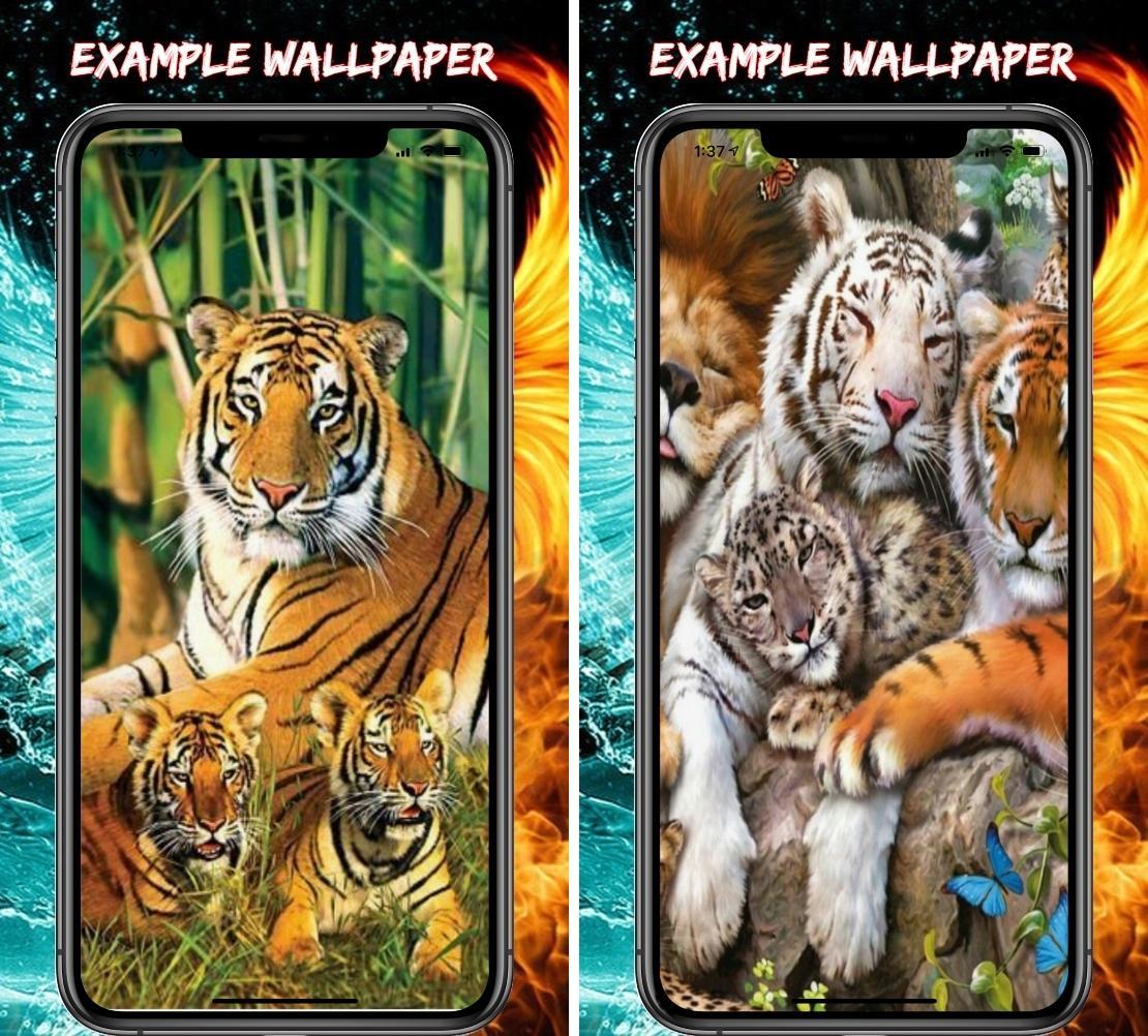 Cute Animal Wallpaper Iphone安卓下载 安卓版apk 免费下载 Cute Animal Wallpaper Iphone安卓下载 安卓版apk 免费下载