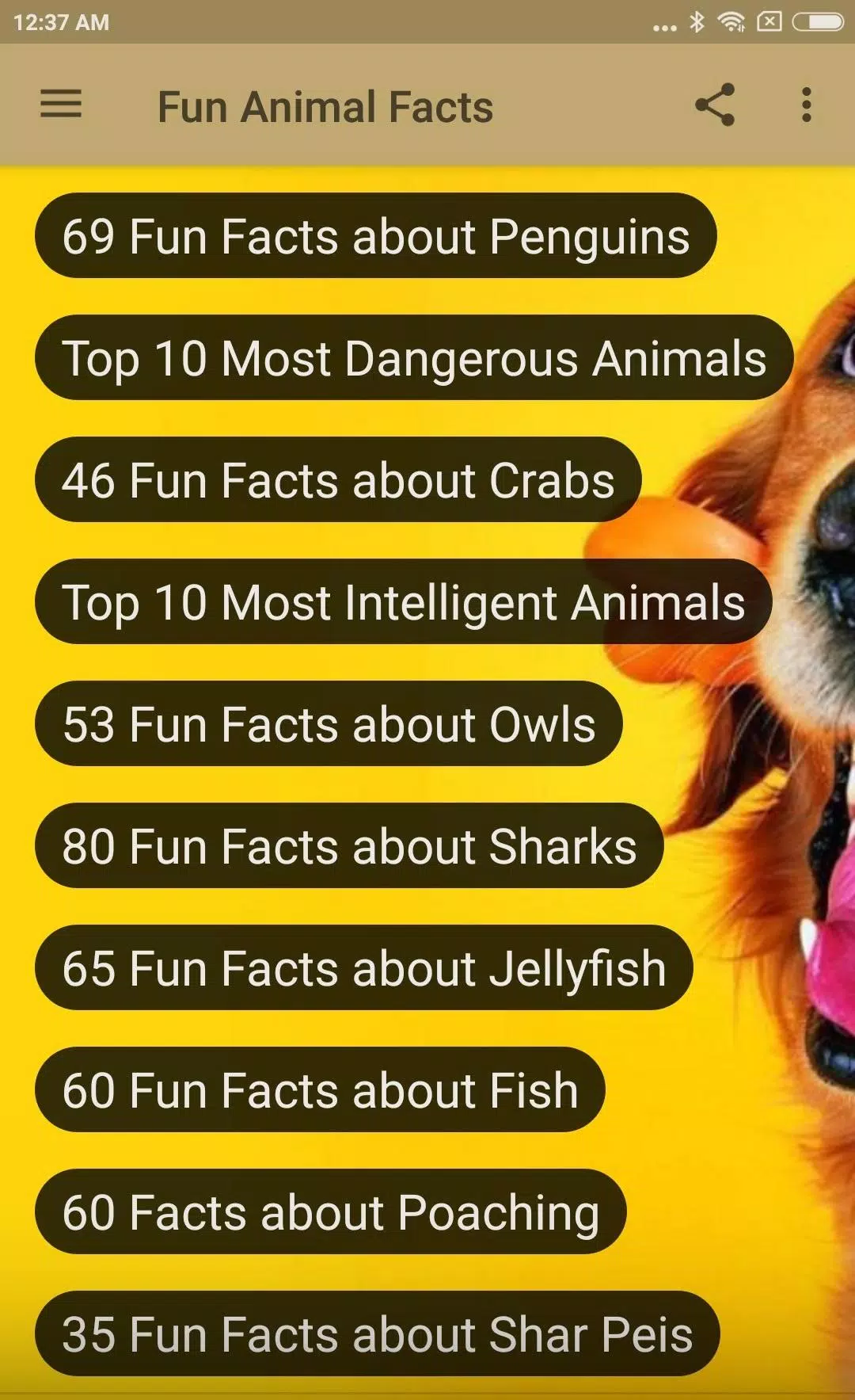 FUN ANIMAL FACTS APK for Android Download FUN ANIMAL FACTS APK for Android Download