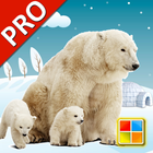 Animals Cards PRO أيقونة