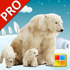 動物學習卡 PRO - 英語學習 APK
