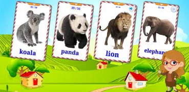 動物学習カード : 英語学習