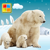 Animals Flashcards APK