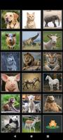 Animal Sounds for Kids screenshot 1