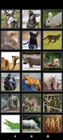 Animal Sounds for Kids screenshot 2