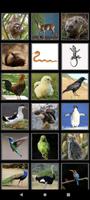 Animal Sounds for Kids screenshot 3