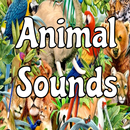 Animal Sounds APK