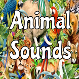 Animal Sounds
