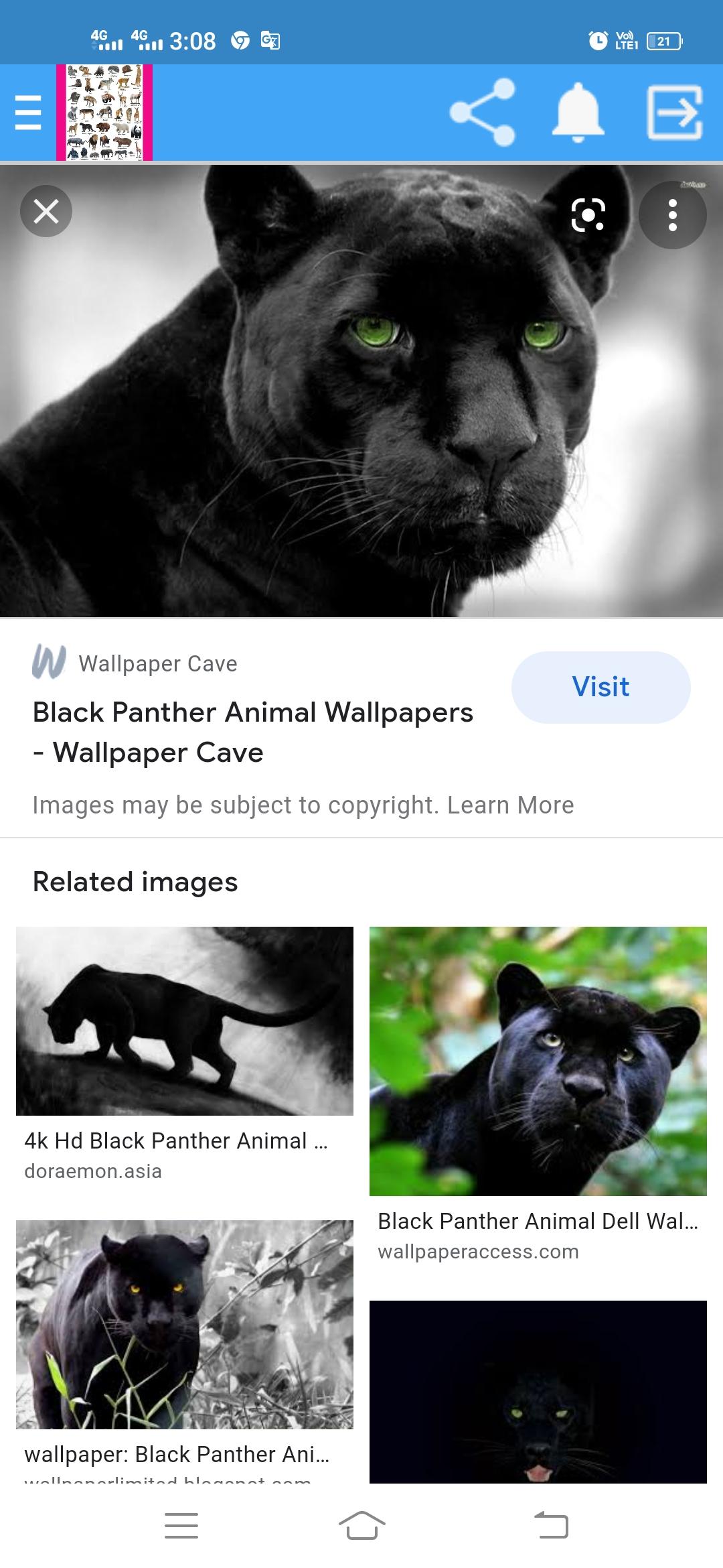 Animal wallpaper 4k 2021 APK pour Android Télécharger