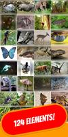 🦁 Zoo Quiz 🦁 𝟚𝟘𝟚𝟘 bài đăng
