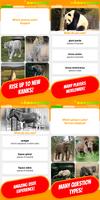 🦁 Zoo Quiz 🦁 𝟚𝟘𝟚𝟘 ảnh chụp màn hình 1