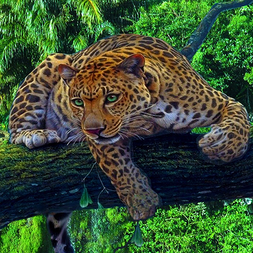 Animal Documentary Online