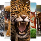 Animal HD wallpaper - wild animal hd wallpaper icône