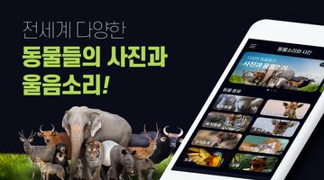 동물소리 – 150종의 동물소리와 단어,사진 الملصق