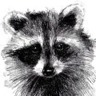 How to Draw Animals by Steps icon