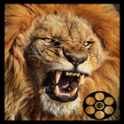 Wild animal documentaries online icon