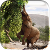 Animal Planet Live Wallpeper APK