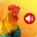 着信音 動物 - Animal Ringtone 2020 APK