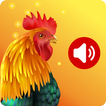 Animal Ringtones - animali suonerie gratis