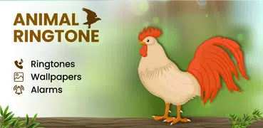 Animal sounds & Bird songs