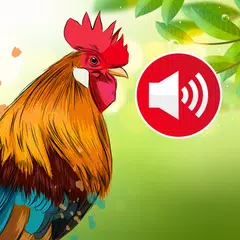 Animal sounds & Bird songs APK Herunterladen