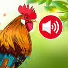 Animal sounds & Bird songs-icoon