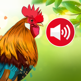 Animal sounds & Bird songs-APK