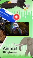 Animal sounds & Bird songs اسکرین شاٹ 1