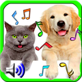 Animal Ringtones