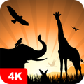 Animal Wallpapers 4K