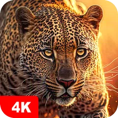 Hintergrundbilder mit Tier 4K XAPK Herunterladen