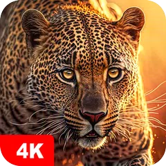 Descargar XAPK de Fondos de pantalla animales 4K