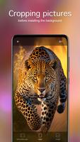 Animal Wallpapers 4K ภาพหน้าจอ 3