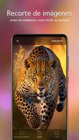 Fondos de pantalla animales 4K captura de pantalla 3