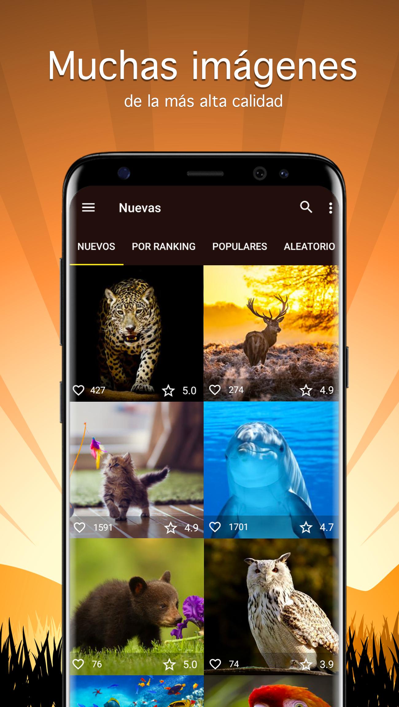 Descarga de APK de Fondos de pantalla animales 4K para Android Descarga de APK de Fondos de pantalla animales 4K para Android