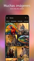 Fondos de pantalla animales 4K captura de pantalla 1