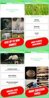 动物 & 宠物 测验 🦛 中国 🐻 𝟚𝟘𝟚𝟘 🐨 截圖 1