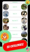 动物 & 宠物 测验 🦛 中国 🐻 𝟚𝟘𝟚𝟘 🐨 截圖 2